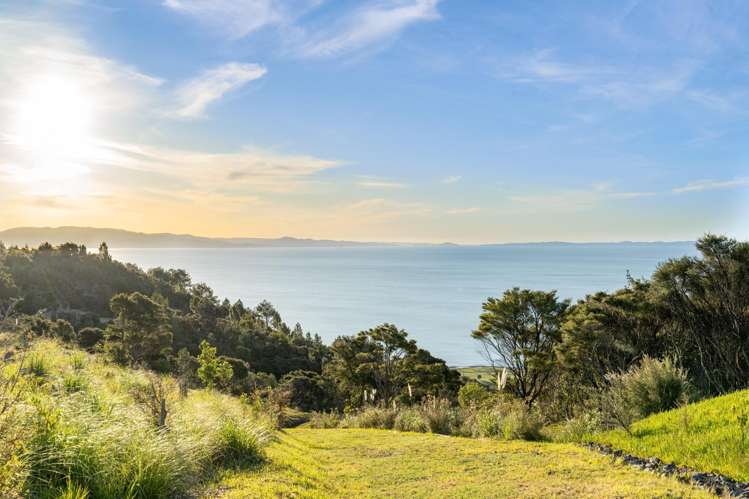 98 Tapu Rise Heights Tapu_14