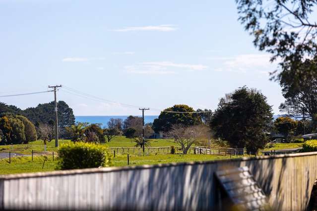 15A Carthew Street ōkato_3