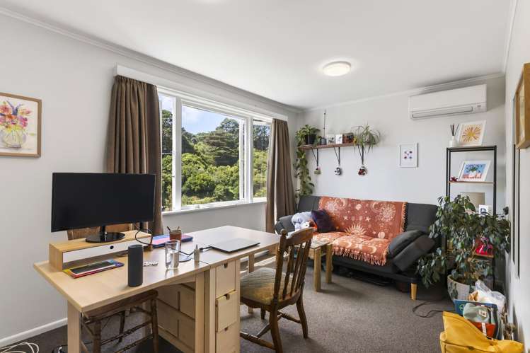 11 Mt Pleasant Road Aro Valley_11