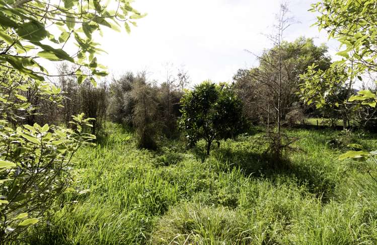 55 Station Road Paeroa_12