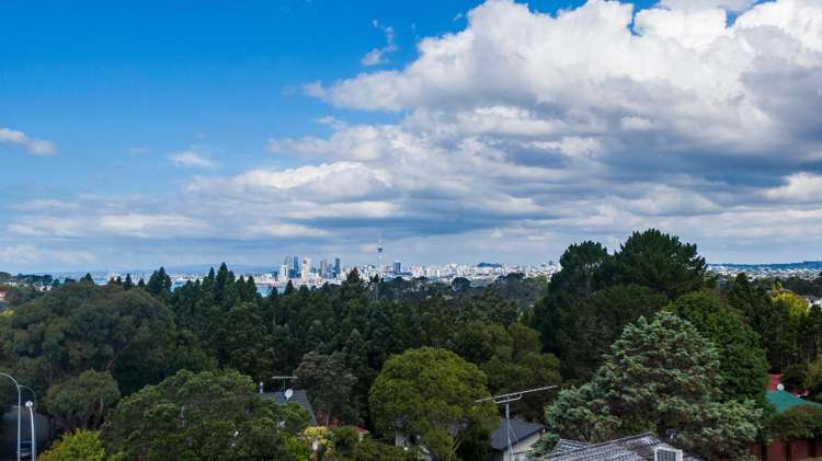 52 Balmain Road Chatswood_53