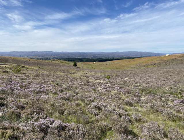 Lifestyle - With Your Weekends Free!