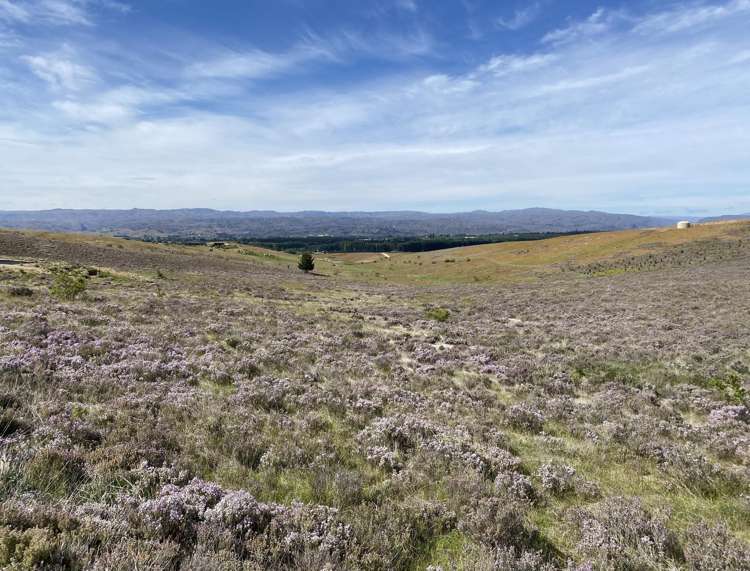 Lot Lot 3, Sim Lane_0