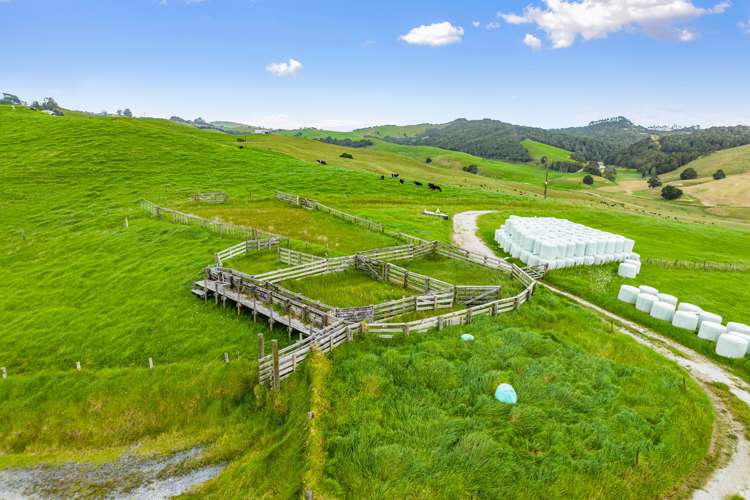 119 Page Road Ruawai_10