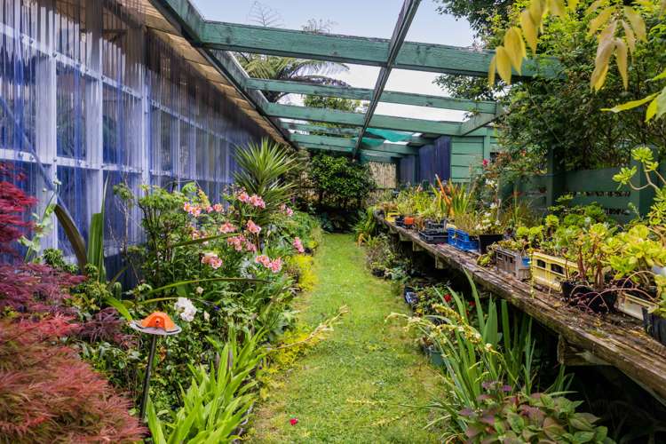 88 Rewa Street Inglewood_37
