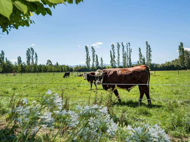 1172 Woodfields Road Cust_19