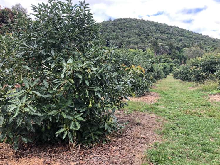 1423 State Highway 14 Maungatapere_5