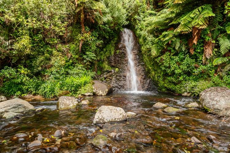 1389 Carrington Road Hurworth_10