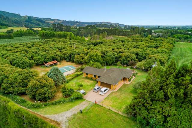 445b Manoeka Road Te Puke_4