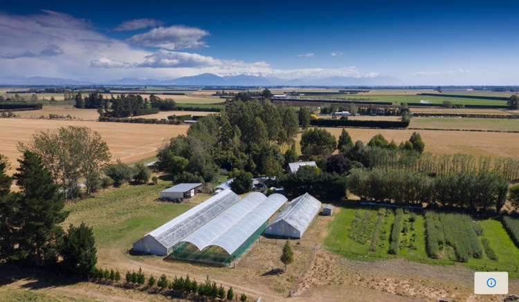 94 Thews Road Tinwald_7