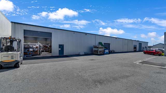 115 Orbell Street Sydenham_1