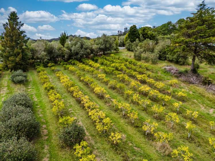 66a Rataroa Road Kaeo_24