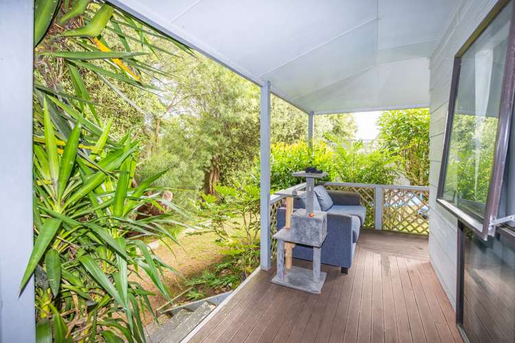 23b Dominion Road Nawton_5