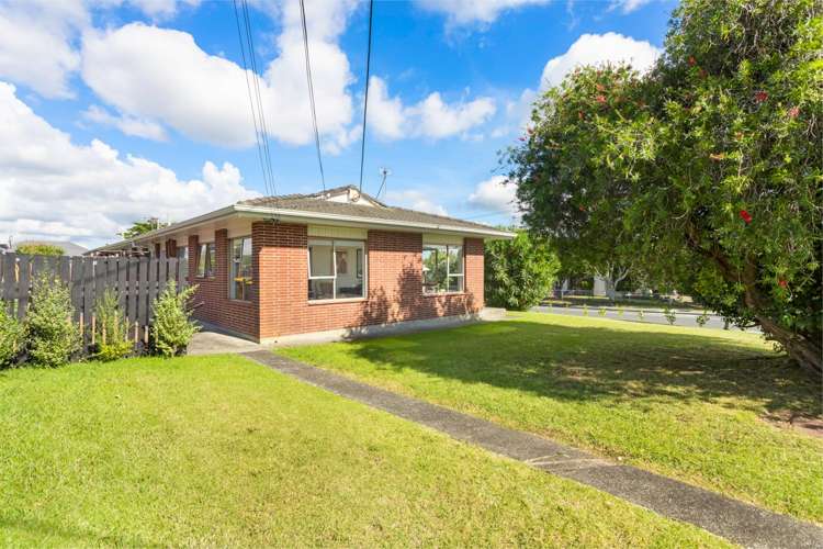 1/2 Vodanovich Road Te Atatu South_17