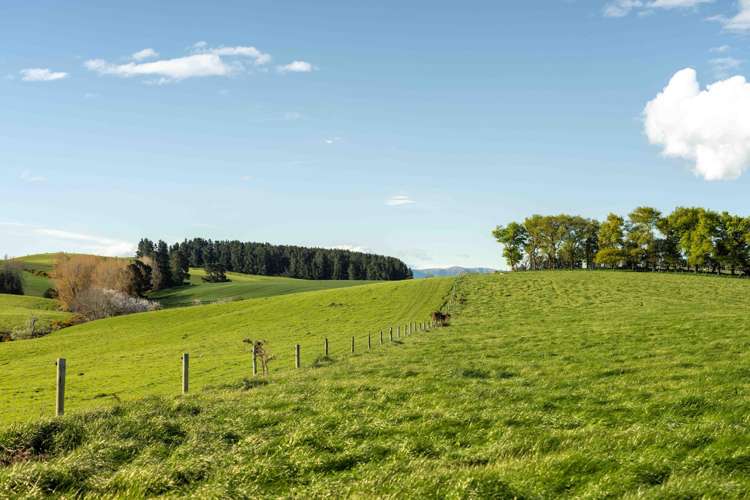 Rowallan Road Darfield_33