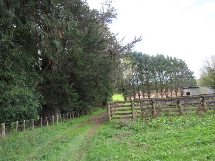 Bisset Road Kaikohe_5