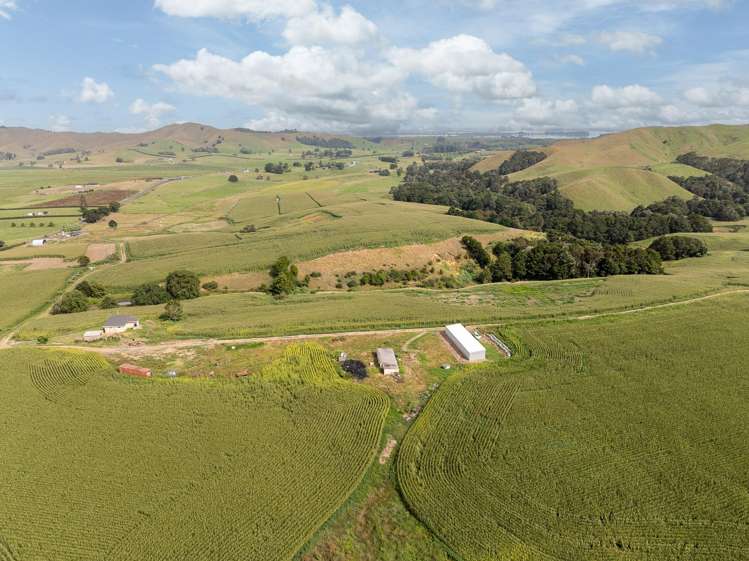 1179 Tahuna Road Ohinewai_5