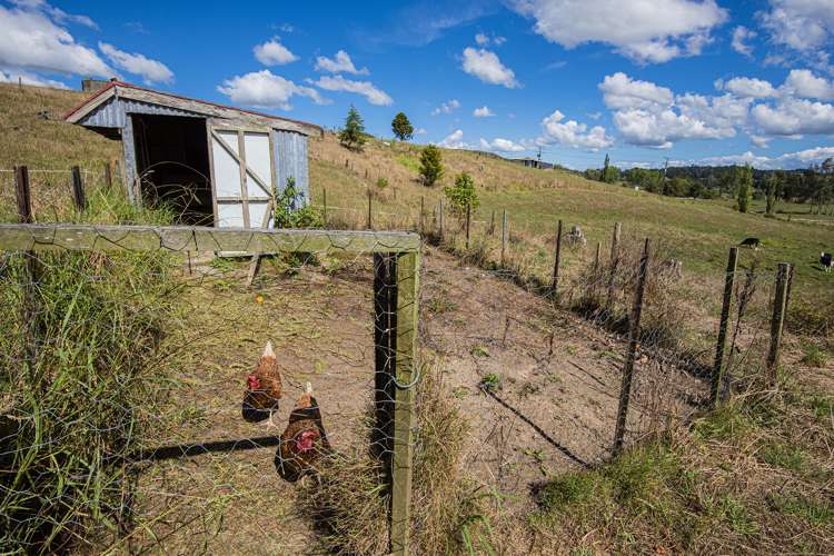 359 Waiotu Block Road Hukerenui and Surrounds_25