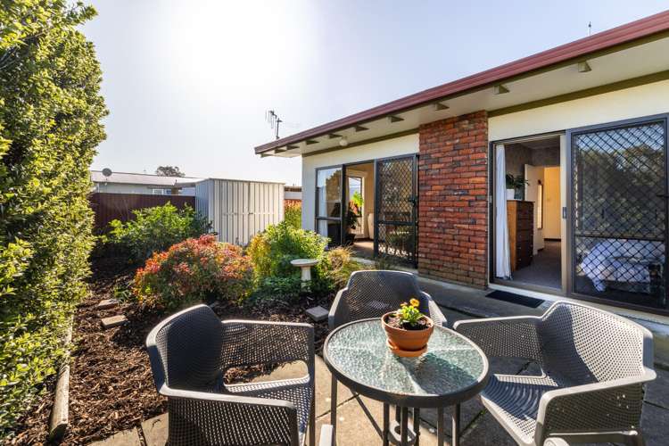 807C Avenue Road East Parkvale_0