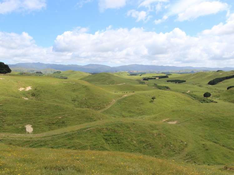 127 North Road Eketahuna_25