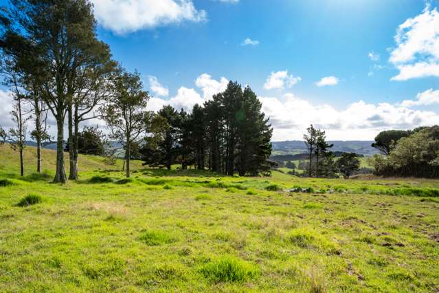 419 Kiwitahi Road Helensville_4