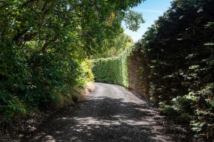 27 Wilcox Road Seaward Bush_33