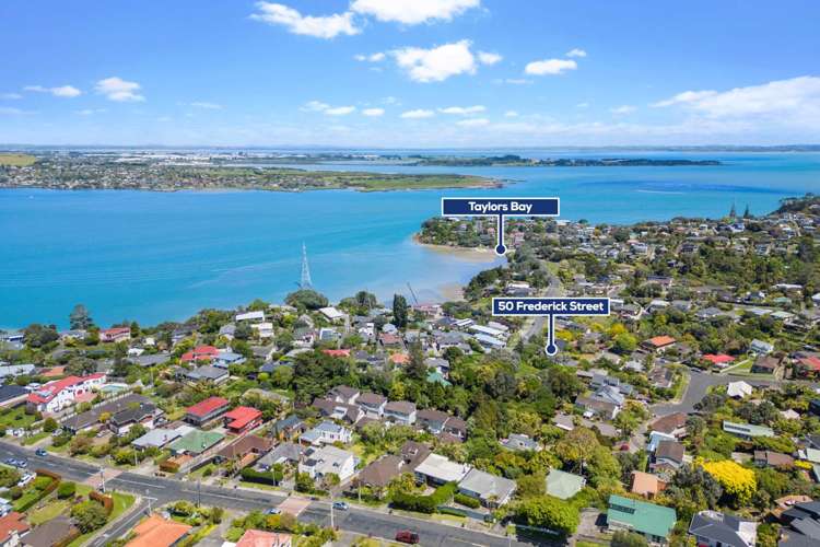 50 Frederick Street Hillsborough_28