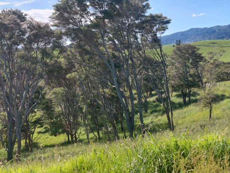 74 Kanuka rise Kopu_9