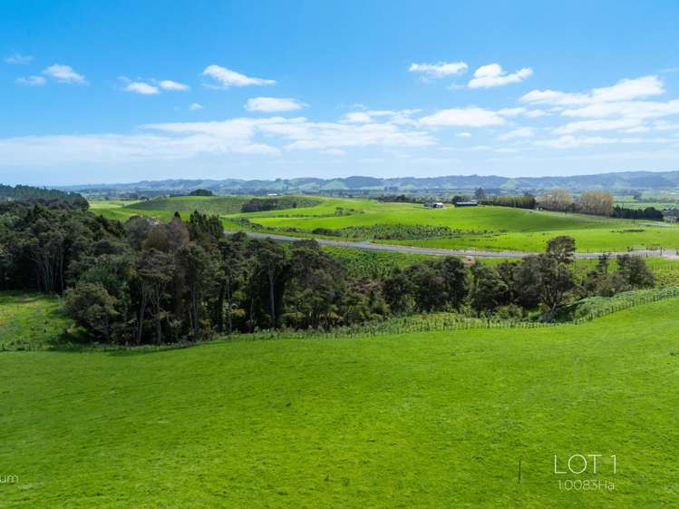 36 Munros Road Clevedon_3