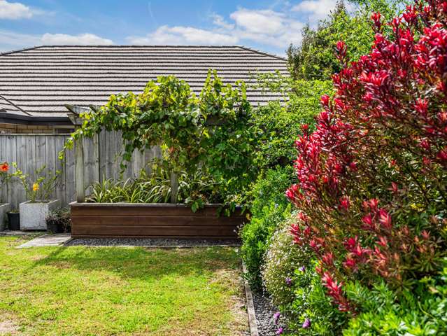 9 Artists Avenue Beachlands_3