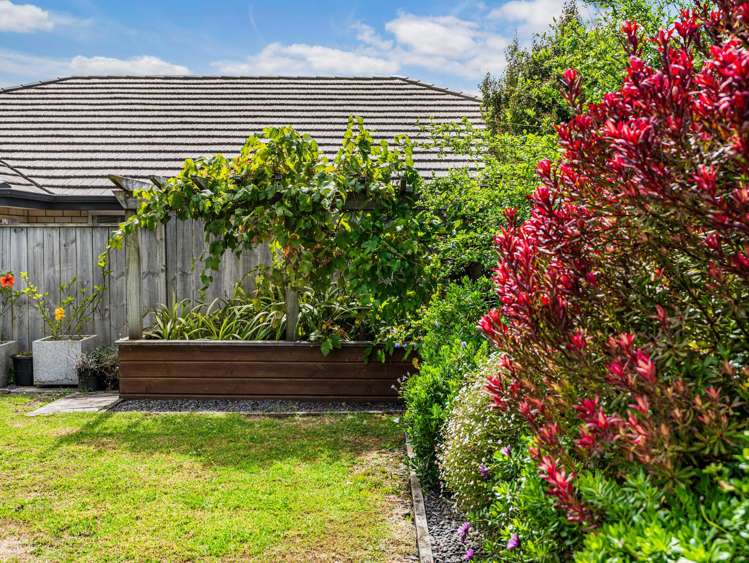 9 Artists Avenue Beachlands_2