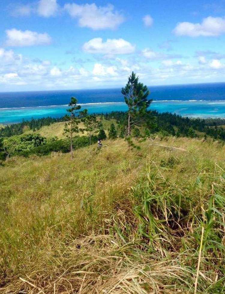 Address withheld Savusavu_7