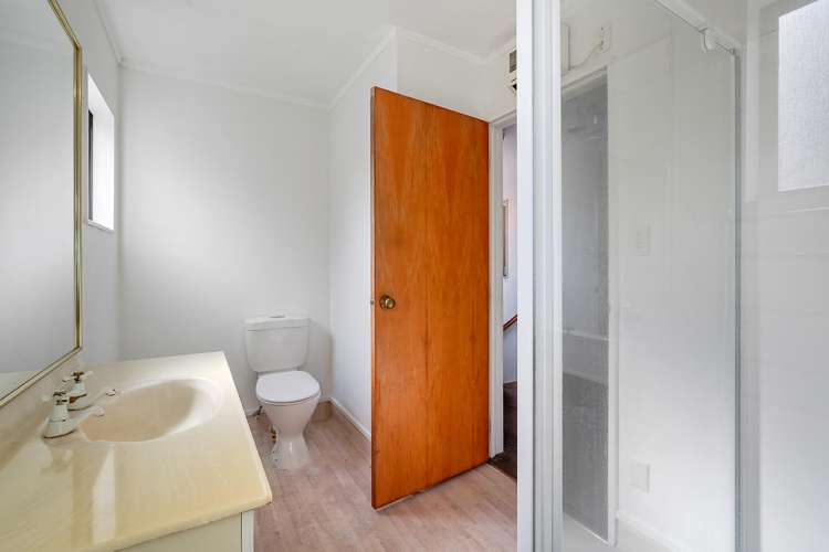 49 Carey Street Maeroa_11