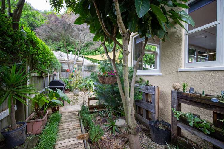 117 Grove Street The Wood_16