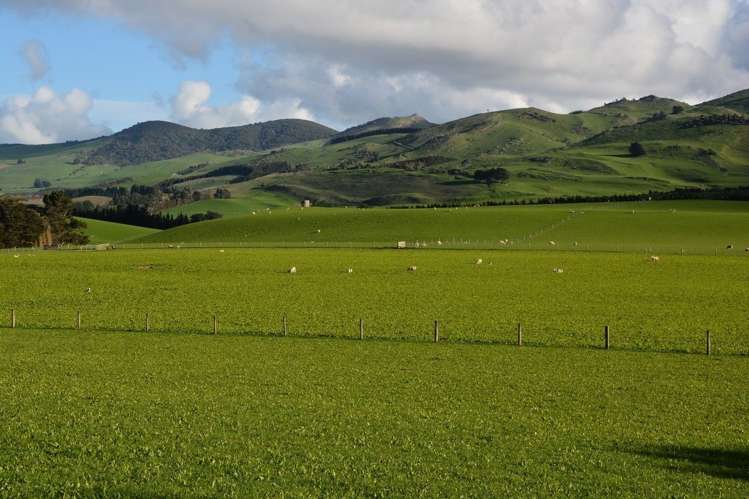 1551 Owaka Valley Road Catlins Surrounds_11