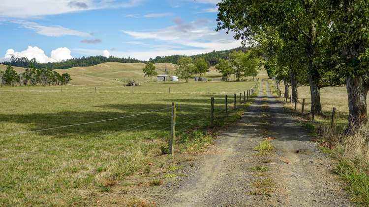 2586 State Highway 2 Maramarua_19