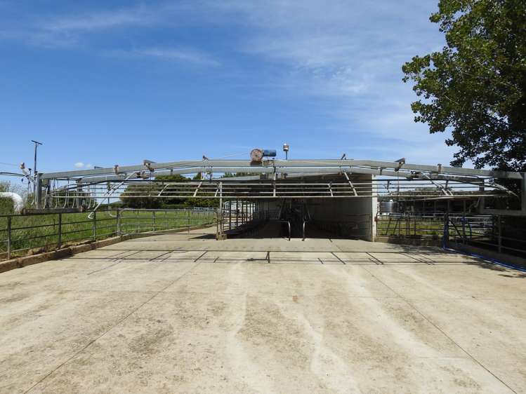 45 Rimu Seaward Downs Road Wyndham Surrounds_5