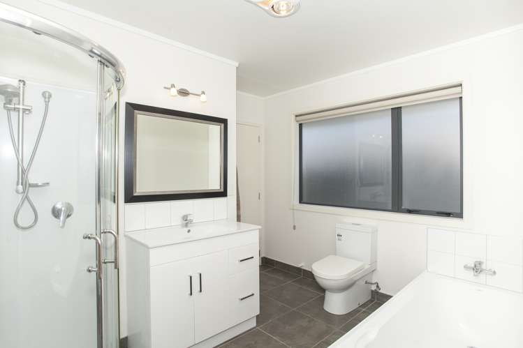 14a Rata Street Roslyn_9