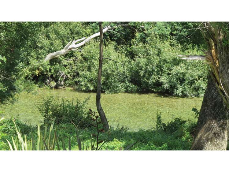 154 Wakamarina Road Havelock_15