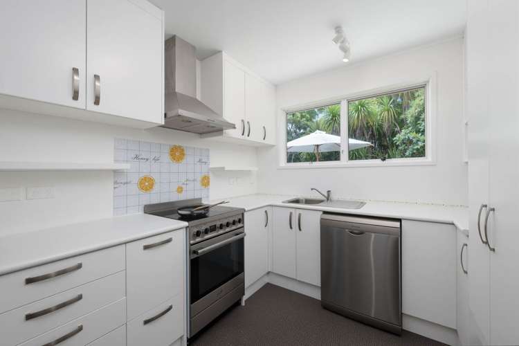 55 Terra Nova Street Glen Eden_9