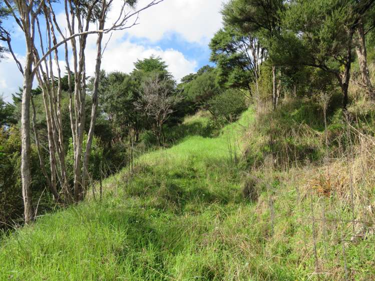 320 Takahue Saddle Road Takahue_23