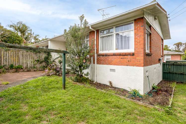 1/2 Crossfield Road Glendowie_12