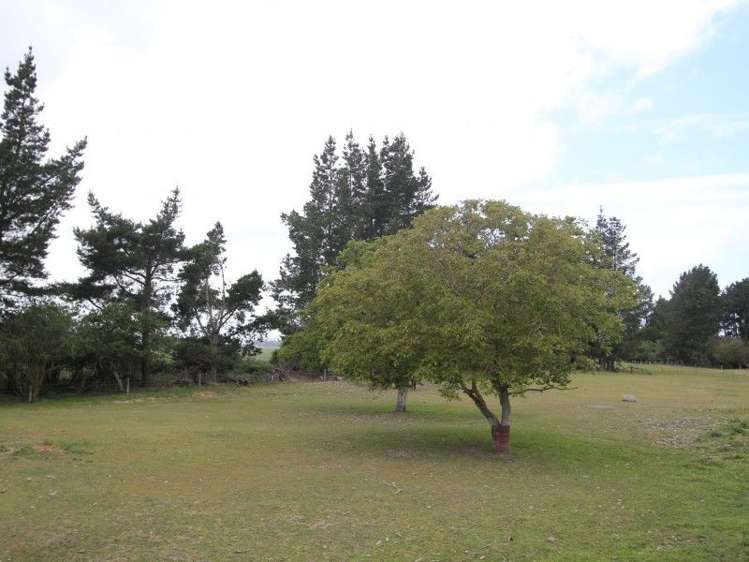 87 Wakanui School Road Wakanui_19