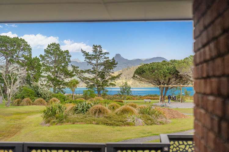 4 Ajax Head Pauanui_1