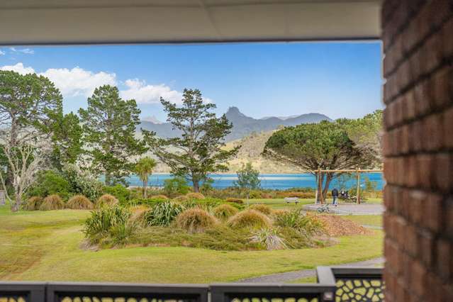 4 Ajax Head Pauanui_1