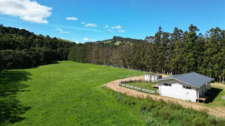 805 Whangaripo Valley Road Whangaripo_22