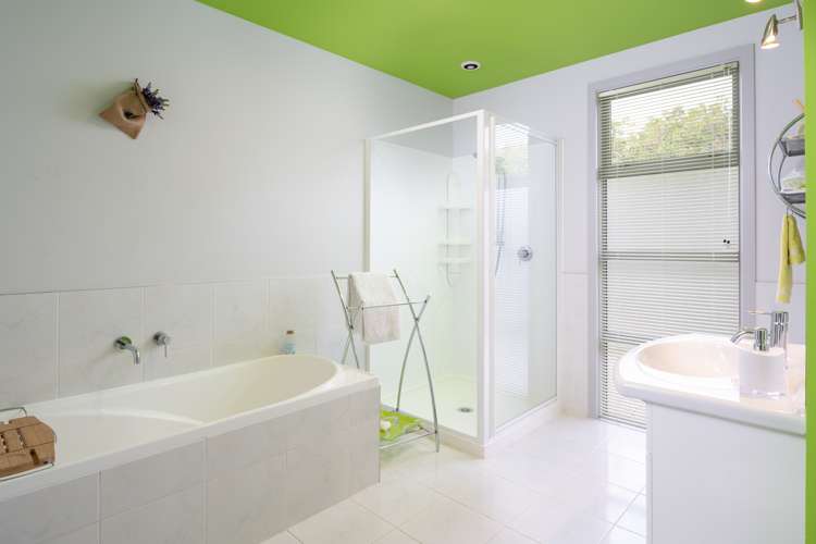 49 Murphys Road Springlands_13