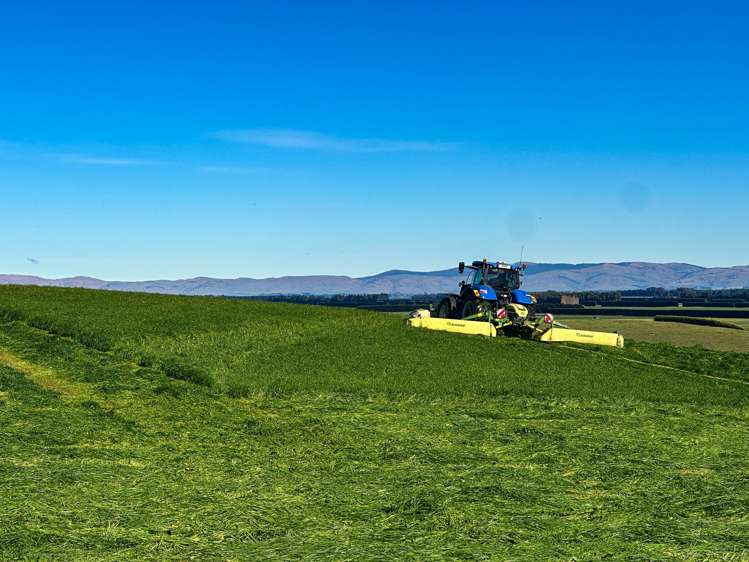 80 McDonald Road Wendonside_4