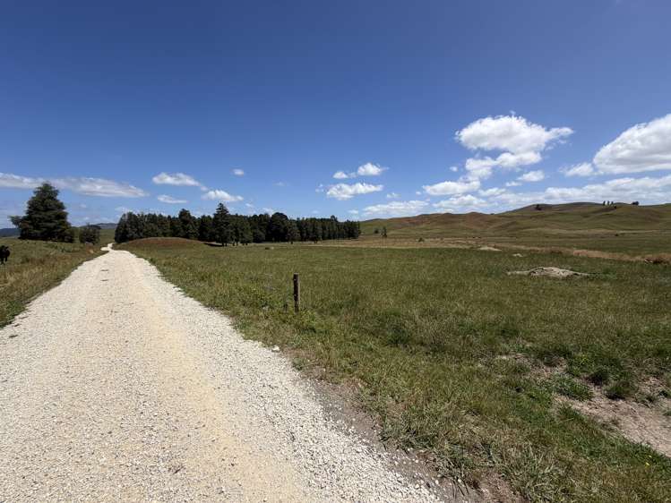 Kahuwera Road Piopio_25