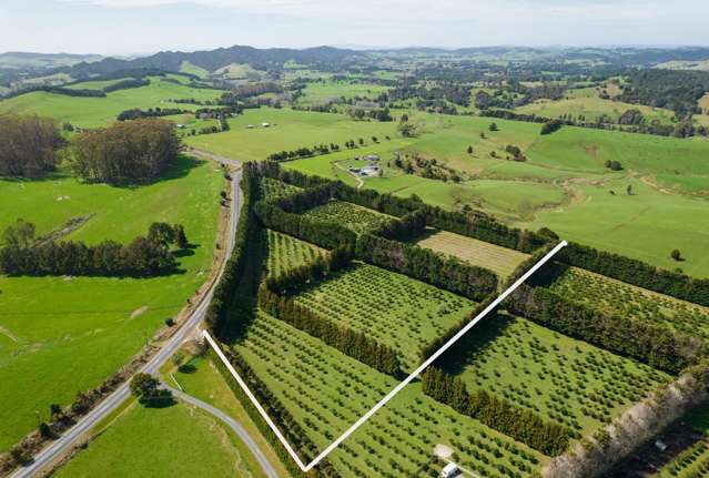 4HA VOLCANIC SOILS – ORANGES – GRAZING - KKHS ZONE